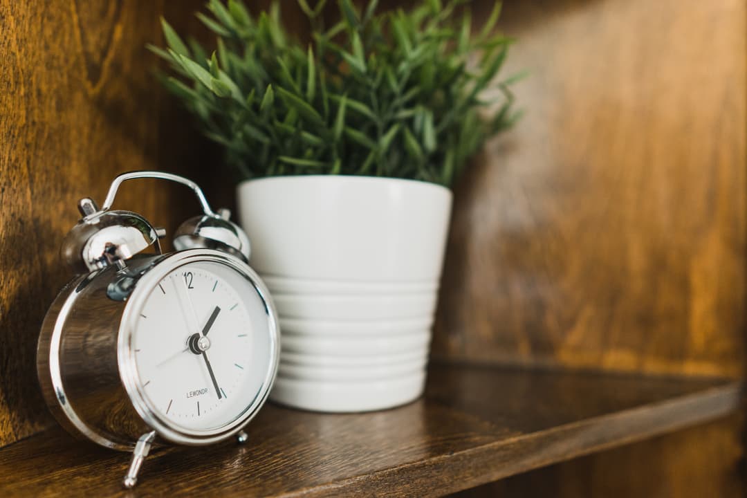 a clock and plant on a table