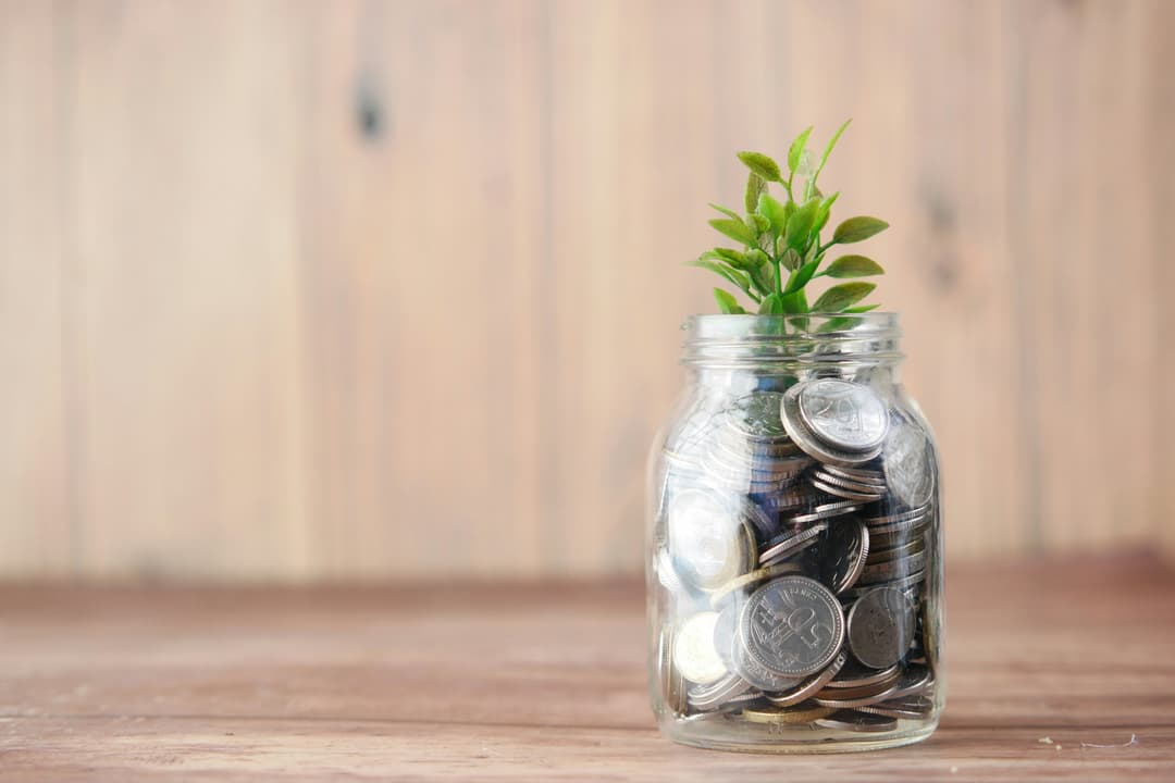 a plant in a jar of coins